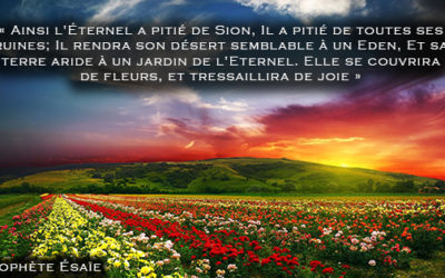 Le conflit israélo-palestinien disséqué – Partie 2 : Légitimité divine d’Israël & origines de la Palestine