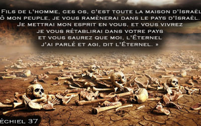 Le conflit israélo-palestinien disséqué – Partie 3 : Persécutions Ancestrales, Survie & Renaissance Miraculeuse d’Israël