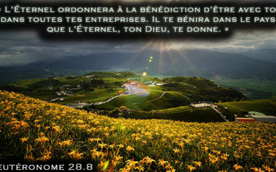 Le conflit israélo-palestinien disséqué 4 – Partie 4 Prospérité et Succès Surnaturel d’Israel